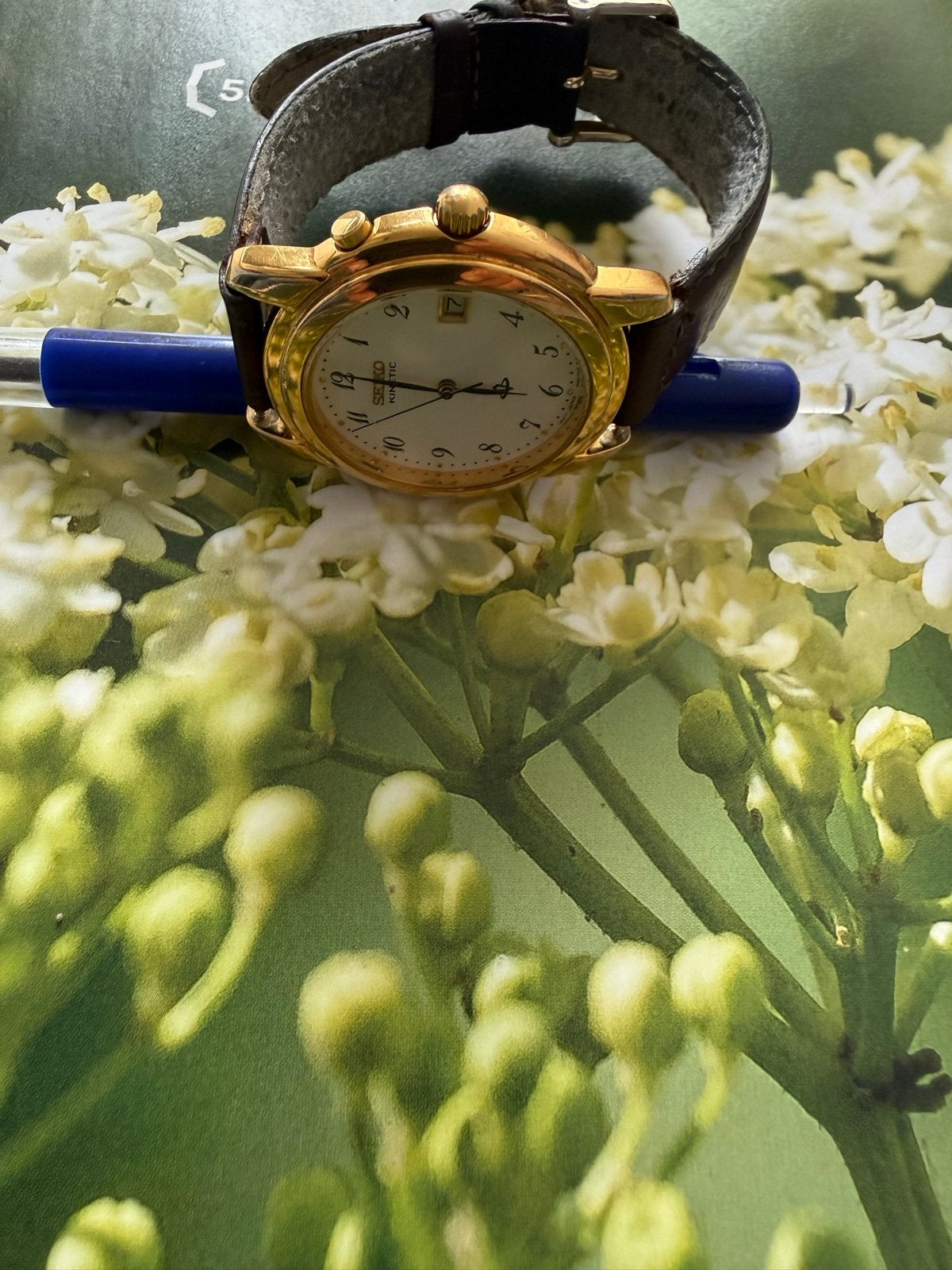 Seiko Kinetic Polshorloge - Goudkleurig met Leren Band, Sieraden, Tassen en Uiterlijk, Horloges | Antiek, Ophalen of Verzenden