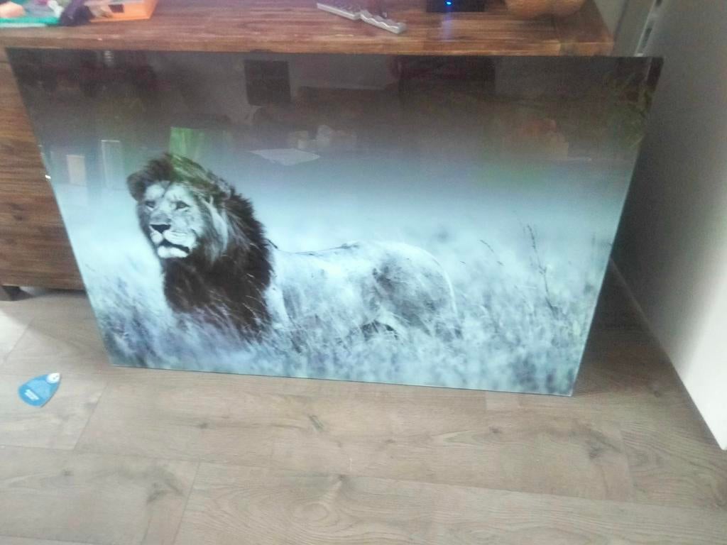 Glas schilderij van een leeuw, Ophalen, 100 tot 150 cm, 100 tot 125 cm, 75 cm of meer