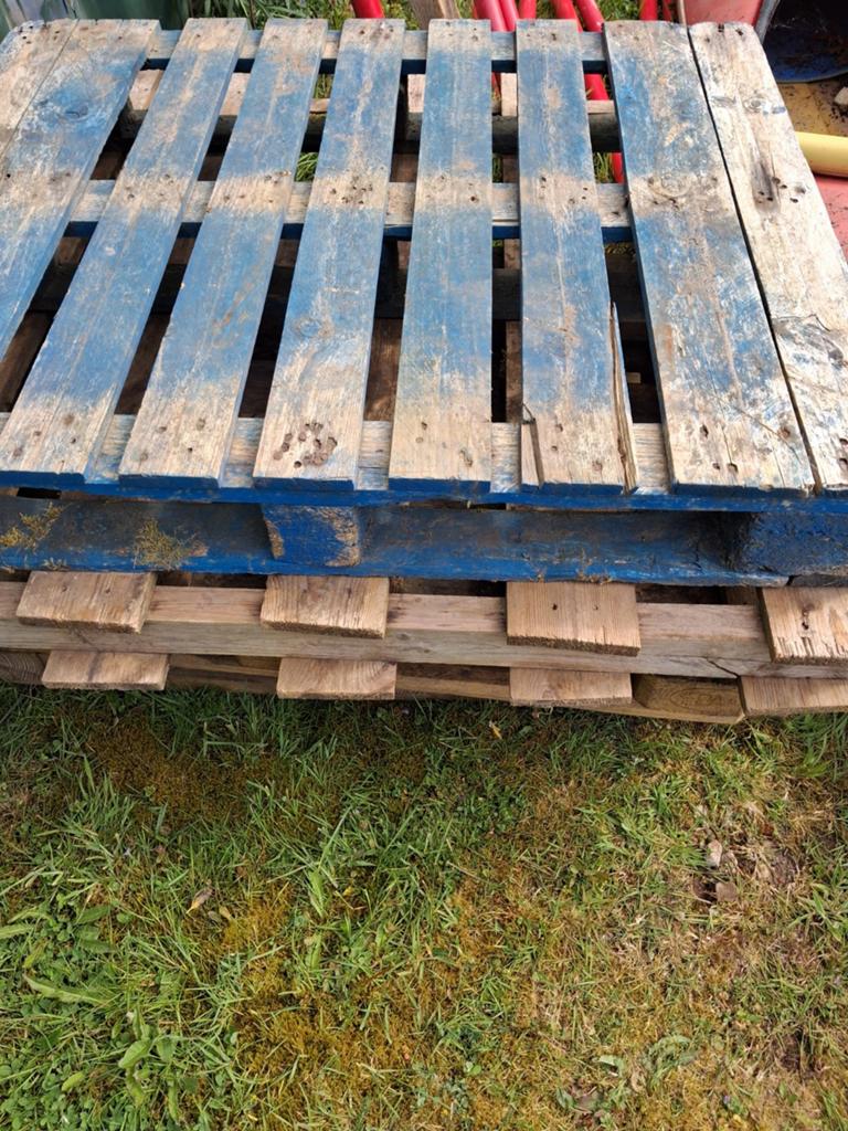 Pallets, Ophalen of Verzenden, Gebruikt