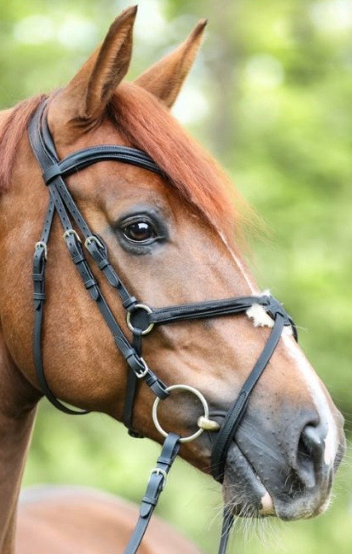 Kavelkade Mexicaanse neusriem full zwart, Dieren en Toebehoren, Paarden en Pony's | Hoofdstellen en Tuigage, Ophalen of Verzenden