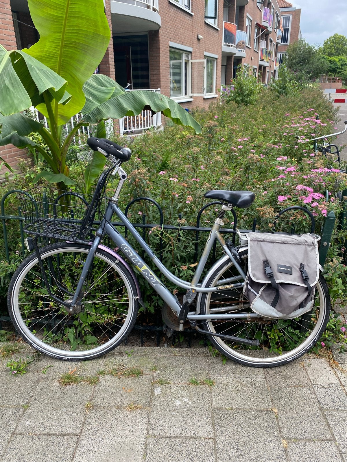 Giant Tourer Damesfiets met Mand, Ophalen, Gebruikt, Velgrem, Versnellingen