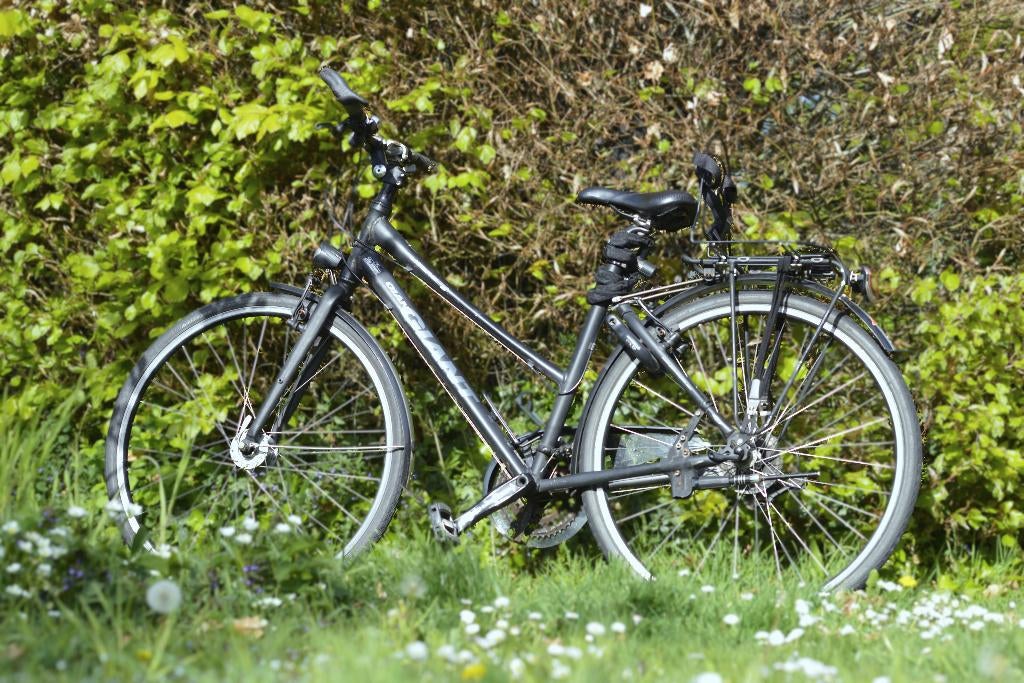 Giant Ligero RS 2 - hybrid lite trekking, Fietsen en Brommers, Fietsen | Dames | Damesfietsen, Ophalen, Gebruikt, Velgrem, Versnellingen