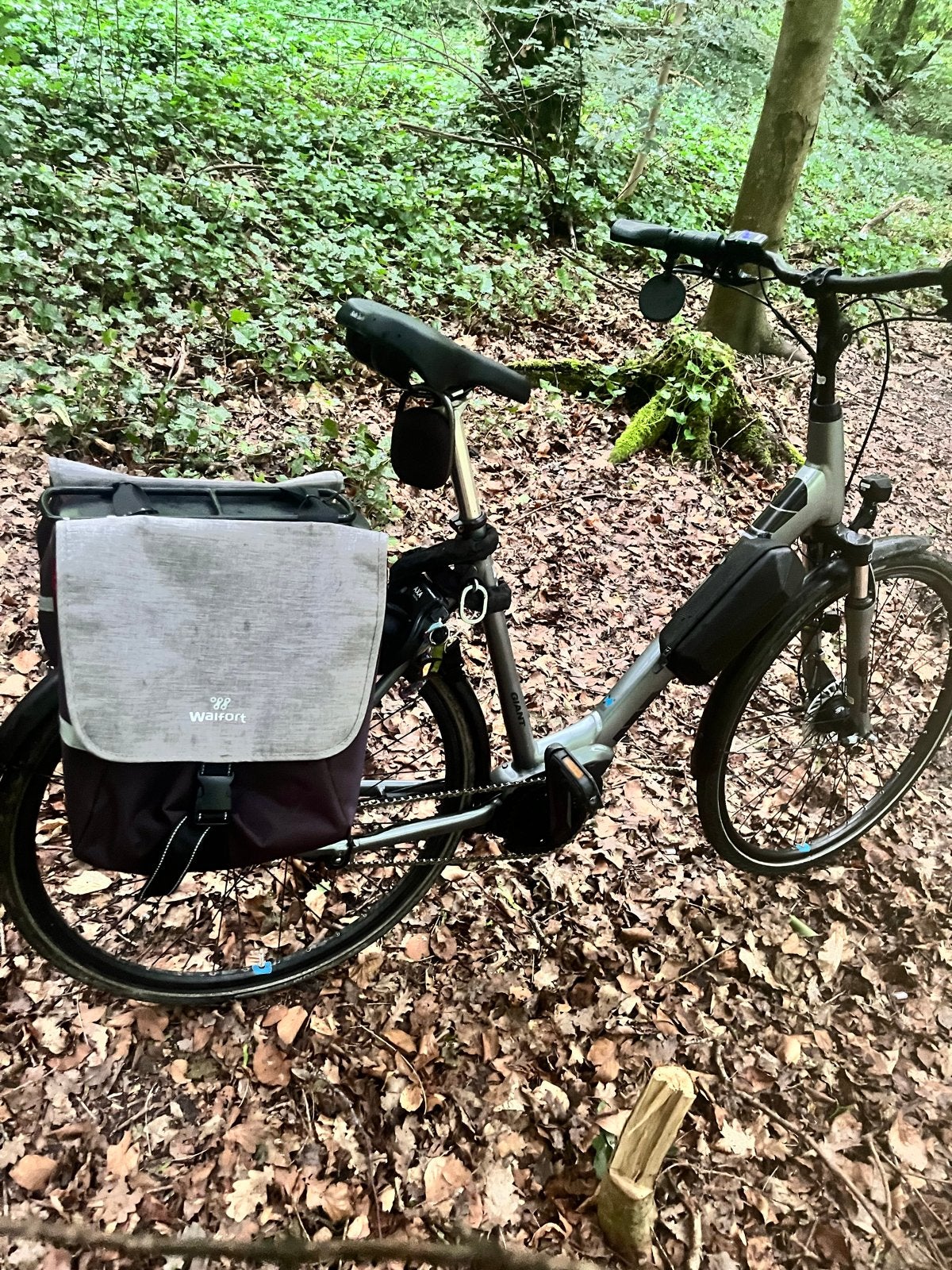 Giant Entour E+ elektrische fiets, Ophalen, Gebruikt, Giant
