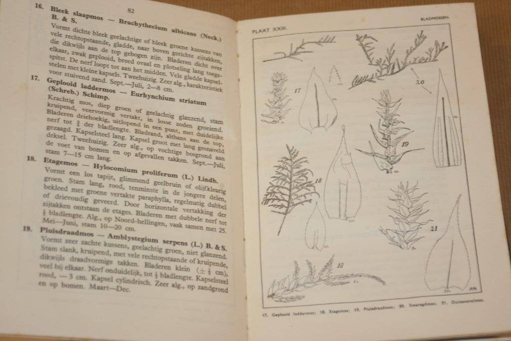 Wat vind ik in de duinen? - Excursieboek 1950, Boeken, Natuur, Ophalen of Verzenden, Gelezen, Bloemen, Planten en Bomen