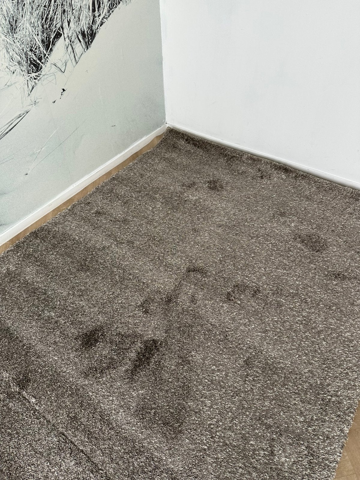 Vloerkleed Shaggy taupe 170/230, 150 tot 200 cm, Ophalen of Verzenden, Rechthoekig, Nieuw