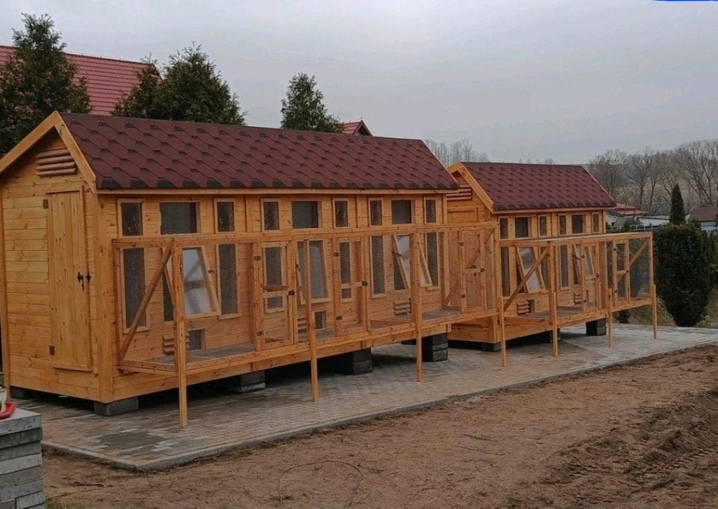 Duivenhok, Ophalen of Verzenden, Nieuw, Hout, Vogelkooi