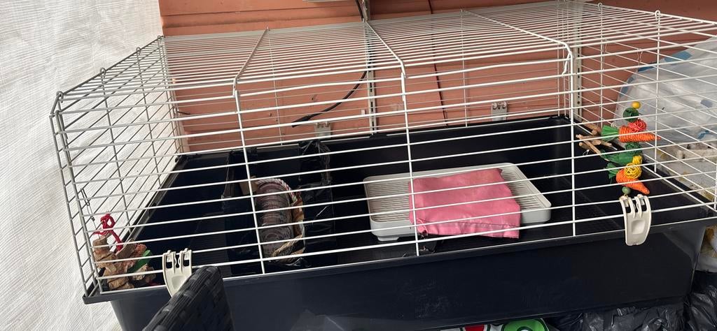 Konijnen kooi met toebehoren., Ophalen, Zo goed als nieuw, Kooi, Minder dan 60 cm
