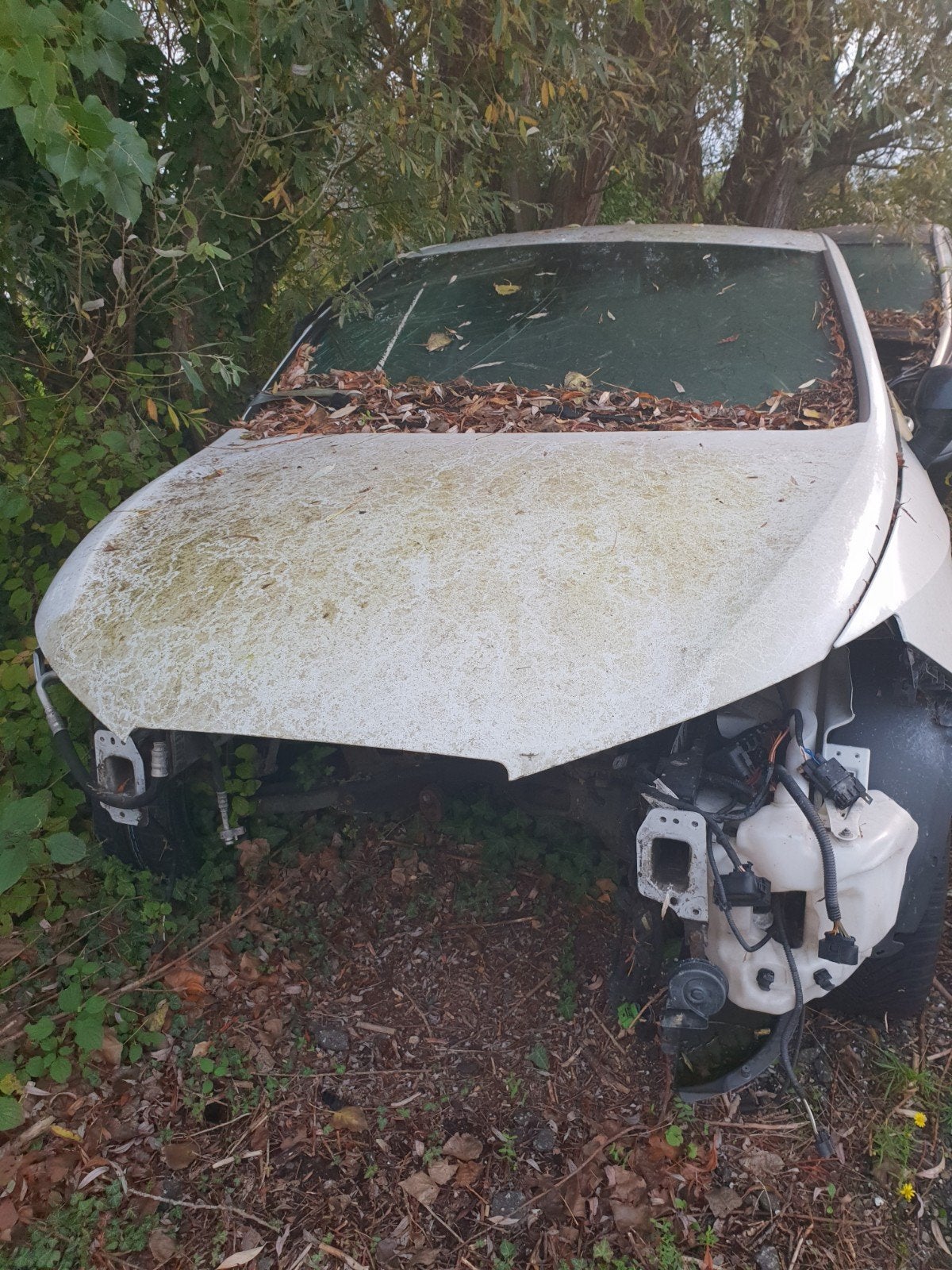 Seat ibiza cupra bocanegra in onderdelen tekoop, Ophalen of Verzenden