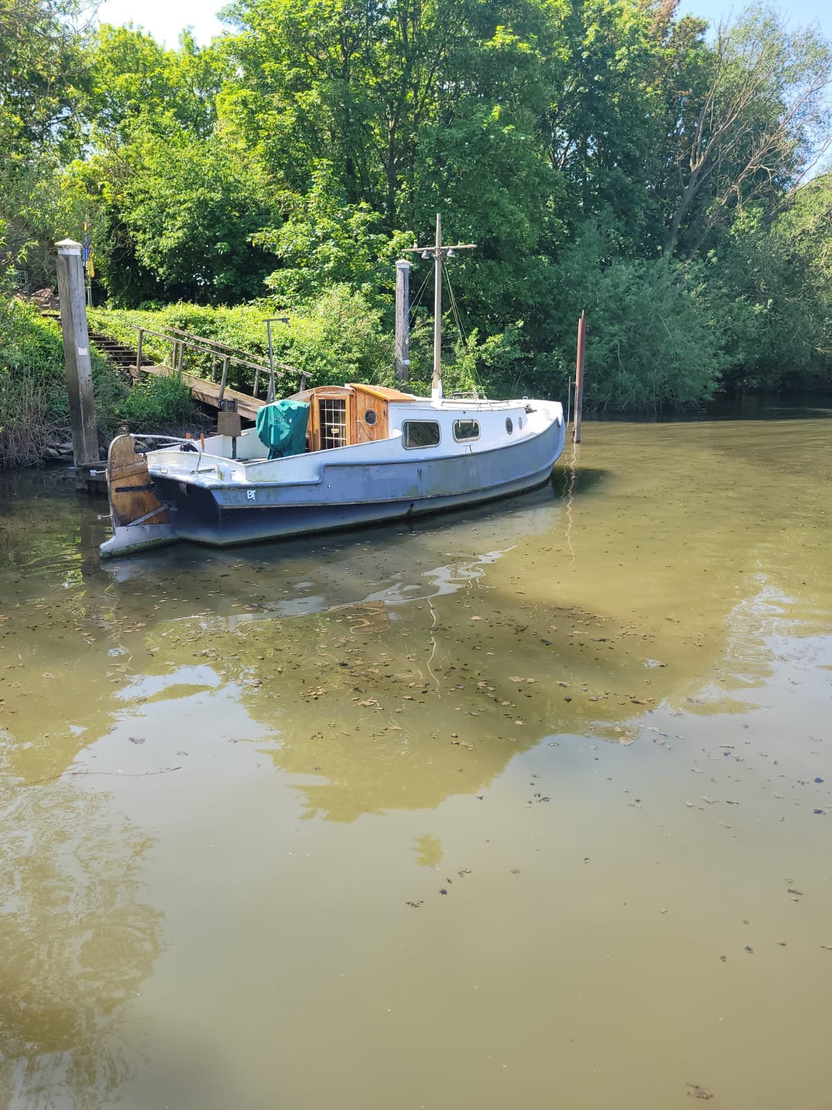 Zeeschouw tukker met yanmar diesel 55 pk, Watersport en Boten, Overige merken, Gebruikt, Diesel, Boegschroef