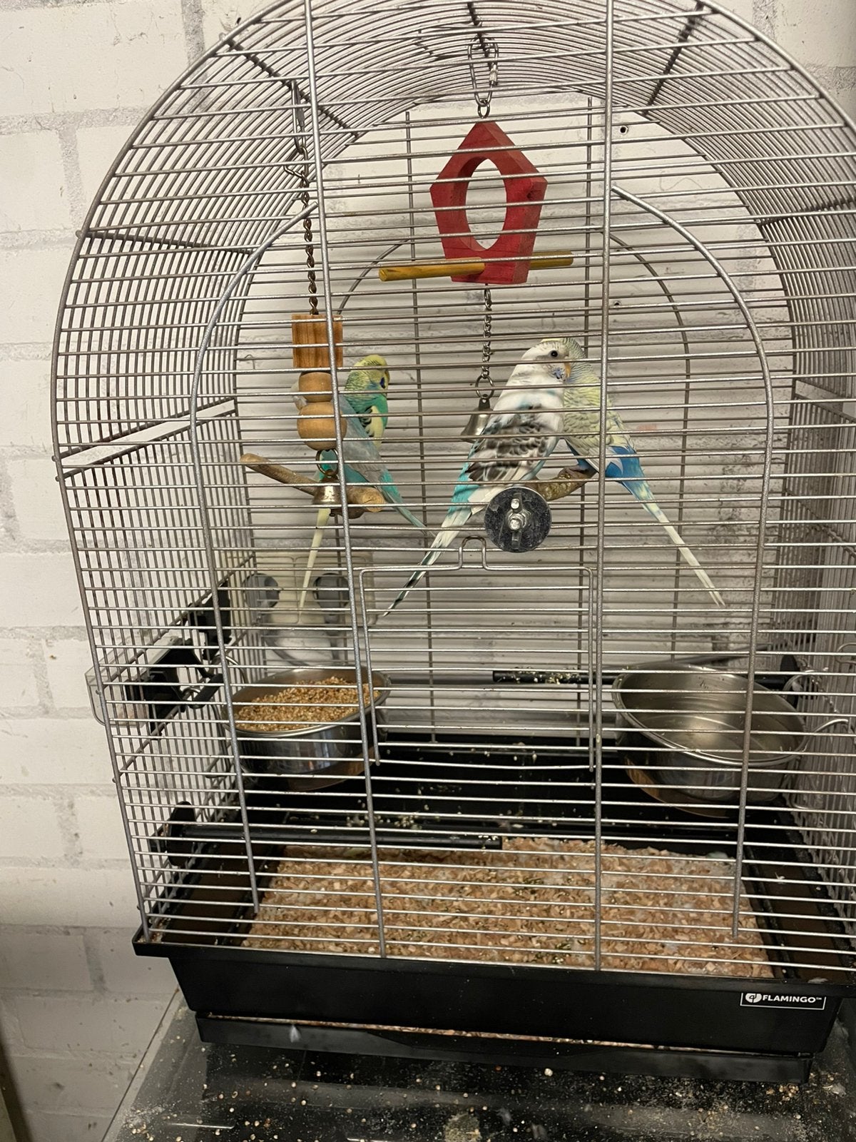 Te koop 4 grasparkiet 2 manen en 2 vrouwen, Dieren en Toebehoren, Ophalen, Zo goed als nieuw, Vogelkooi