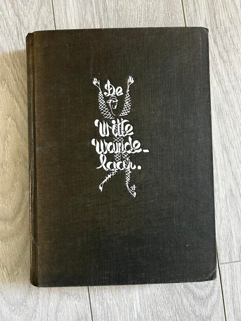 De Witte Wandelaar - Jan Nieuwenhuis (Avonturenroman), Boeken, Ophalen of Verzenden, Gelezen