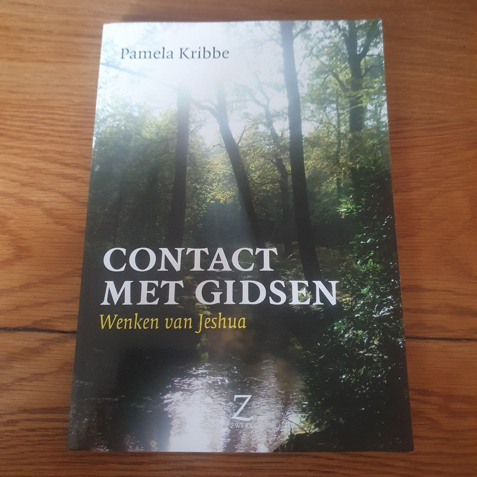 Pamela Kribbe - Contact met gidsen wenken van Jeshua, Achtergrond en Informatie, Spiritualiteit algemeen, Ophalen of Verzenden