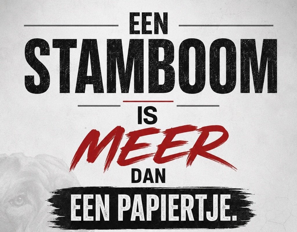 De verborgen risico's van een Cane Corso zonder stamboom, Dieren en Toebehoren, Overige rassen, 8 tot 15 weken, Parvo, Meerdere dieren
