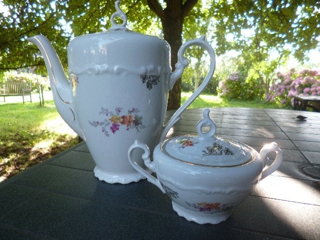 Koffiepot + suikerpot Czechoslovakia met herfst bladeren, Ophalen of Verzenden