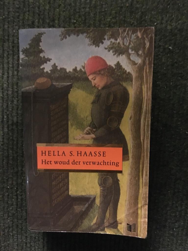 Het woud der verwachting; door Hella S. Haasse #Frankrijk, Ophalen of Verzenden, Zo goed als nieuw, Hella S. Haasse