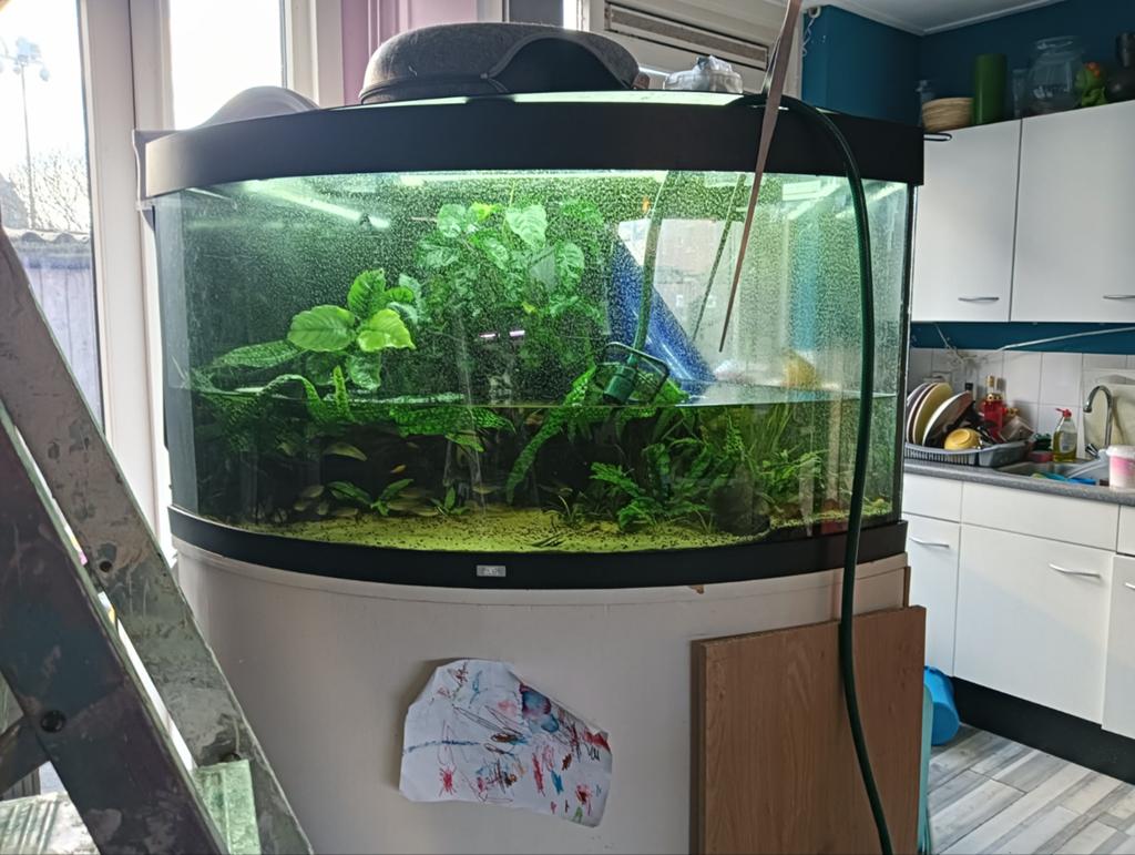 Juwel trigon 350L, Dieren en Toebehoren, Vissen | Aquaria en Toebehoren, Ophalen, Gebruikt, Juwel, Inclusief deksel