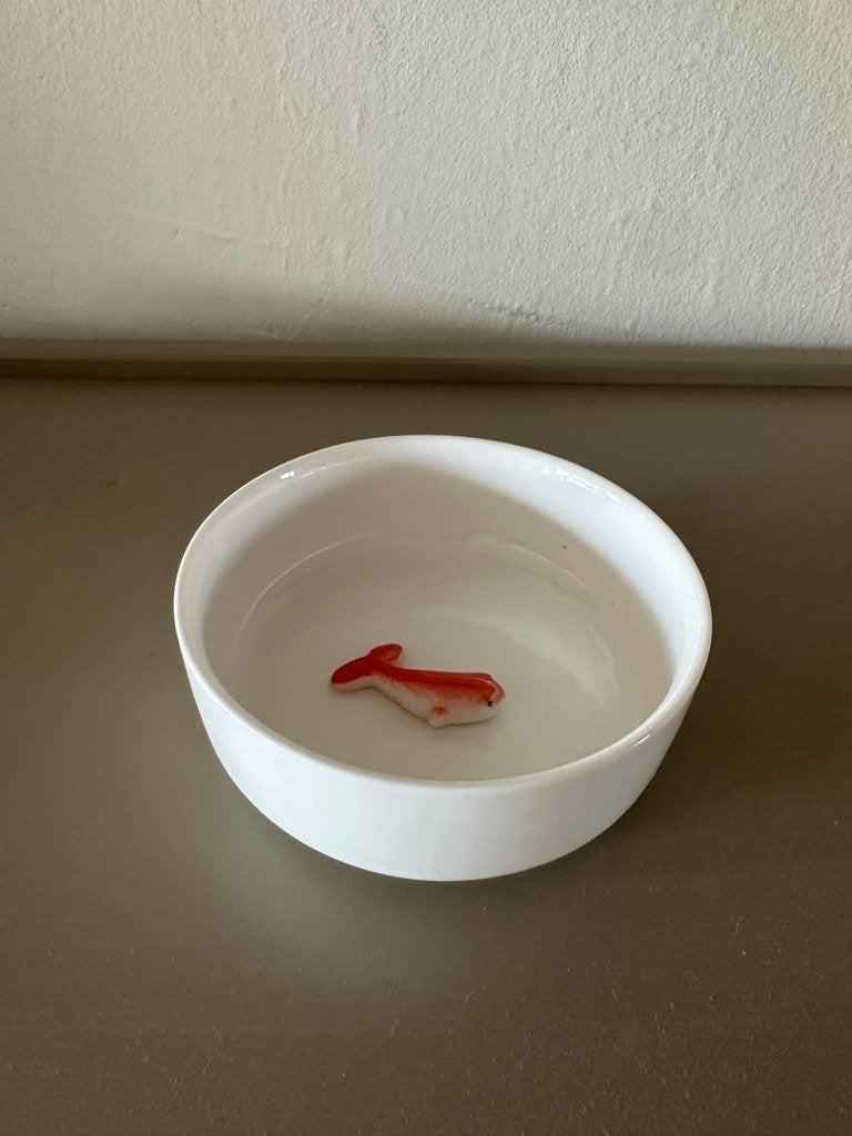 Drinkbakje met 3D vis, Ophalen, Zo goed als nieuw