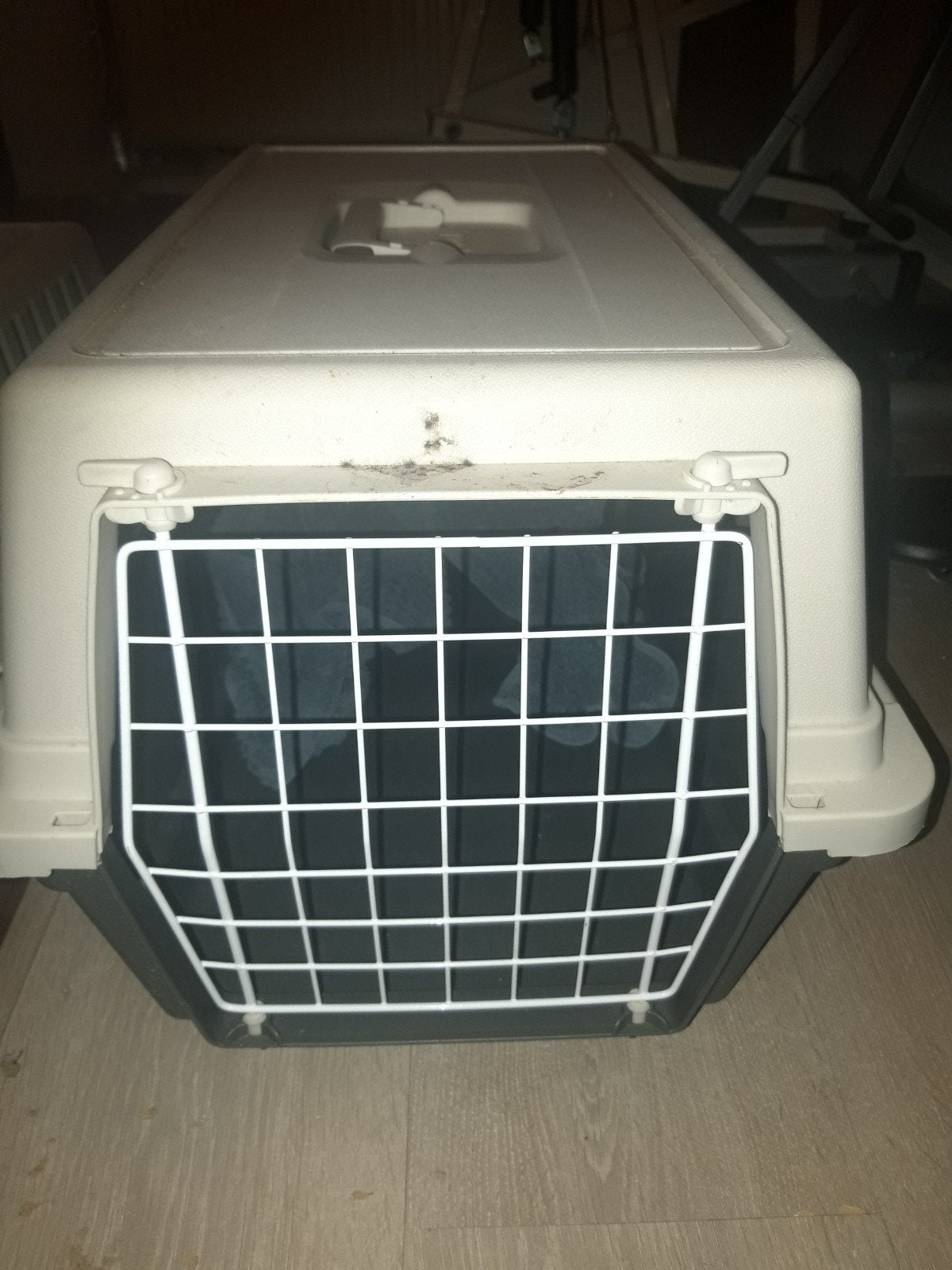 reis mandje voor de kat of hond, Ophalen of Verzenden