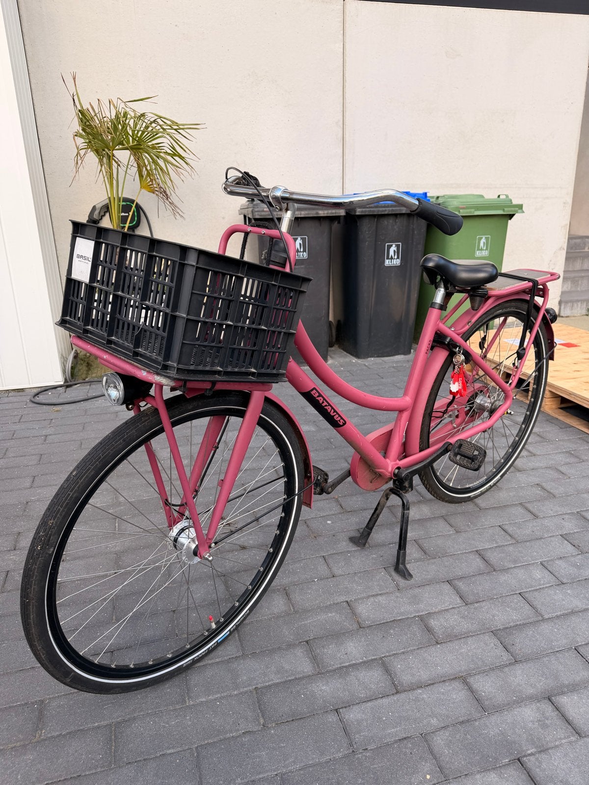 Batavus Packd 3 Cassis 28 inch 3-speed Nexus, Fietsen en Brommers, Fietsen | Dames | Damesfietsen, Ophalen, Terugtraprem, Batavus