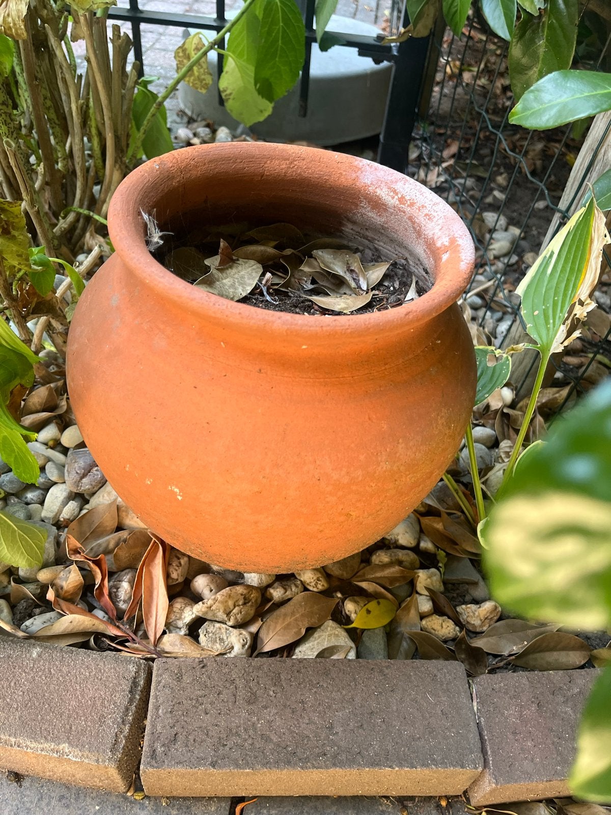 Gratis 2 gebruikte plantenpotten voor buiten, Tuin en Terras, Bloempotten, Gebruikt, Rond, Minder dan 40 cm, Tuin