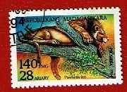 Katachtigen - Madagasikara - 1705 - Leeuw - gebr, Ophalen of Verzenden, Gestempeld, Dier of Natuur