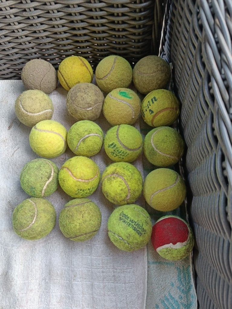 Tennisballen voor de hond 20 stuks, Ophalen of Verzenden, Gebruikt, Hondenballen