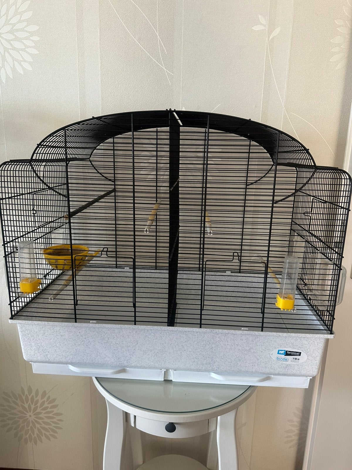 Vogelkooi, Geslacht onbekend, Zangkanarie
