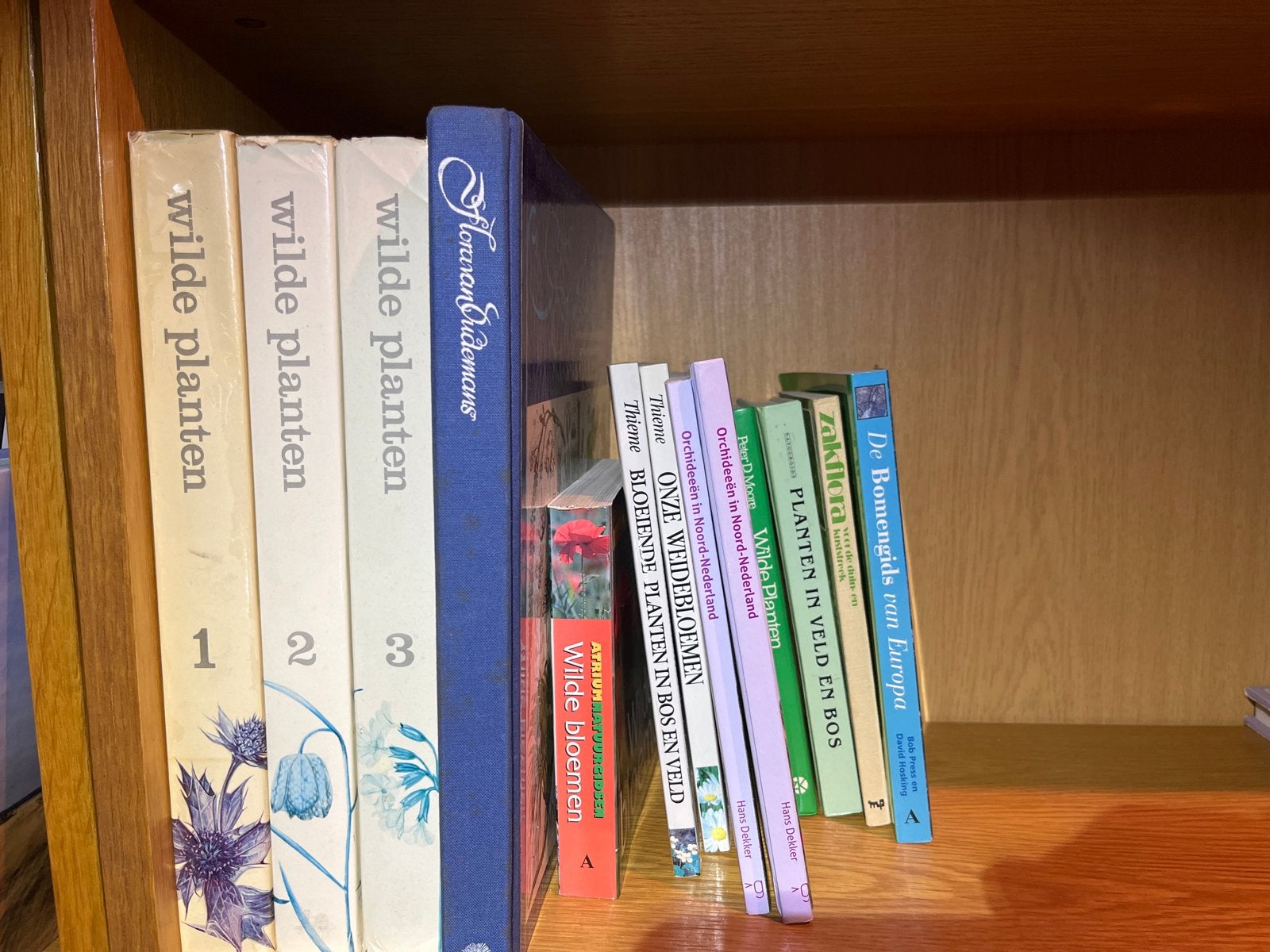 Collectie natuurboeken: Wilde planten, orchideeën, bomen, Boeken, Natuur, Ophalen, Zo goed als nieuw, Bloemen, Planten en Bomen