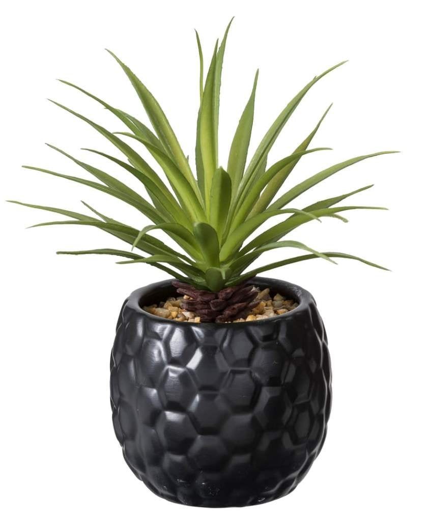 Kunstplant in pot, Binnen, Groen, 15 cm, Onderhoudsvrij