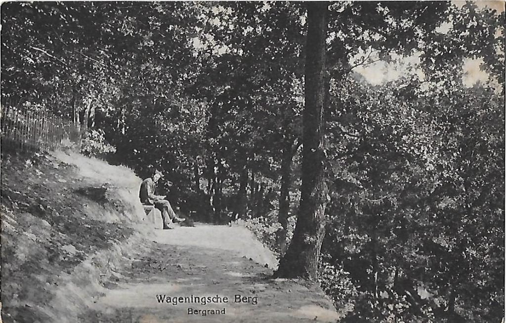 Wageningsche Berg - Bergrand - Oude ansichtkaart 8581, Ophalen of Verzenden, 1940 tot 1960, Gelopen, Gelderland