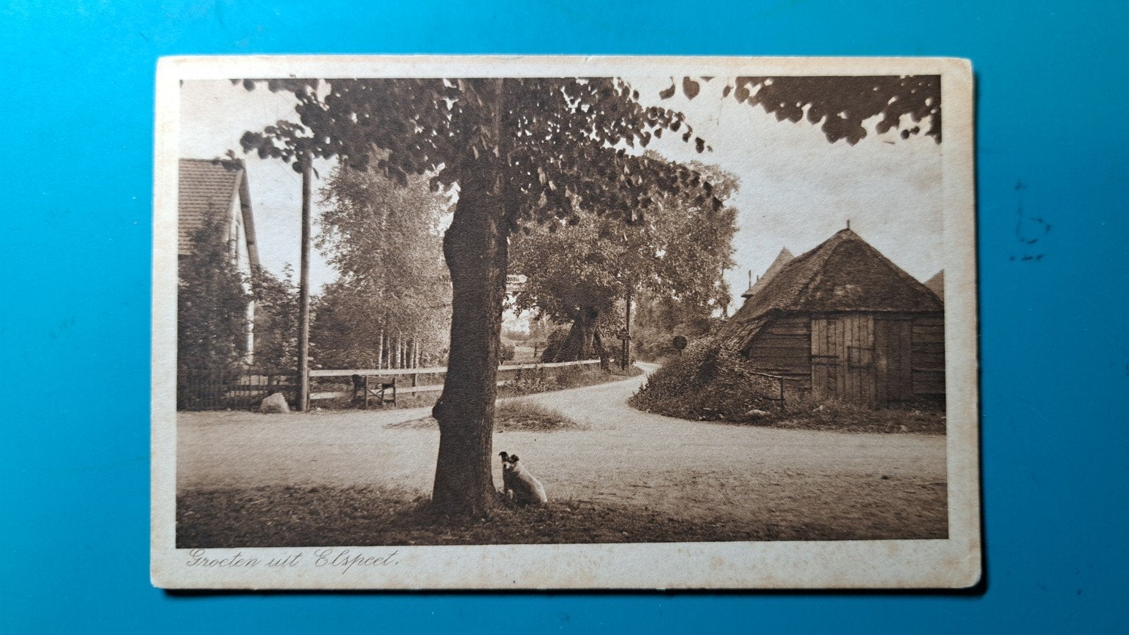 Elspeet, Verzamelen, Ophalen of Verzenden, Voor 1920, Gelopen, Gelderland