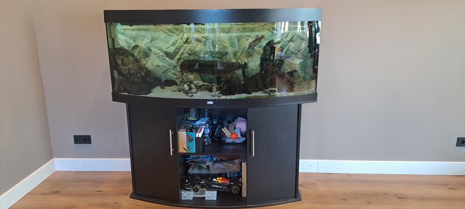 aquarium Juwel vision 450, Ophalen, Inclusief vissen, Gebruikt, Juwel