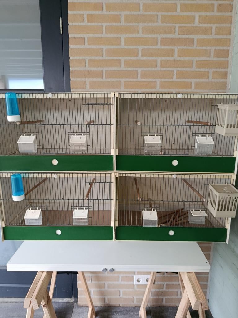 Heesakkers broedkooien., Dieren en Toebehoren, Ophalen of Verzenden, Hout, Broedkooi of Kweekkooi
