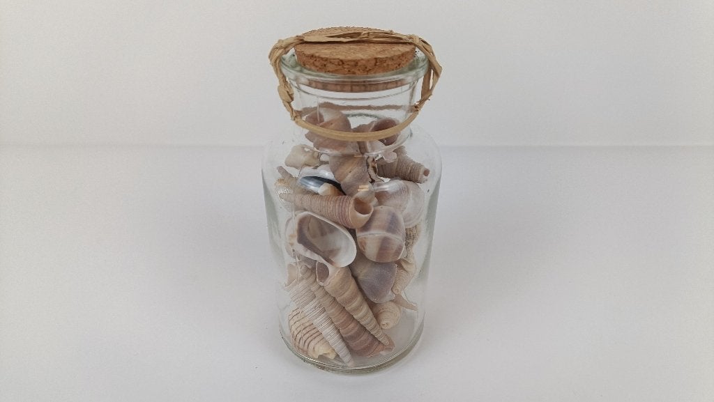 Glazen schelpen potje, Meerkleurig, Verzenden, Nieuw, Mediterraans