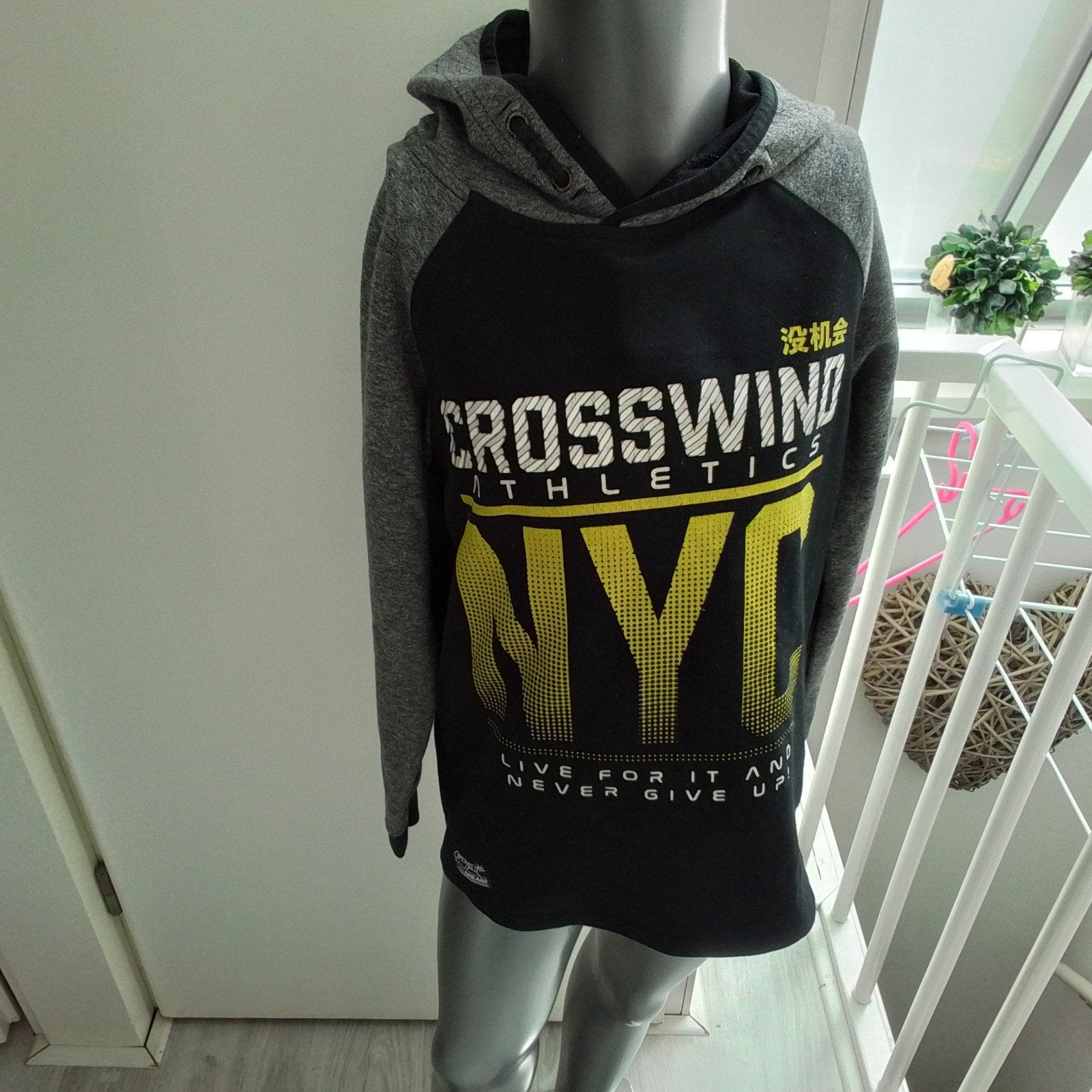 sweater hoody, Kinderen en Baby's, Ophalen of Verzenden, Zo goed als nieuw, Jongen of Meisje, Trui of Vest