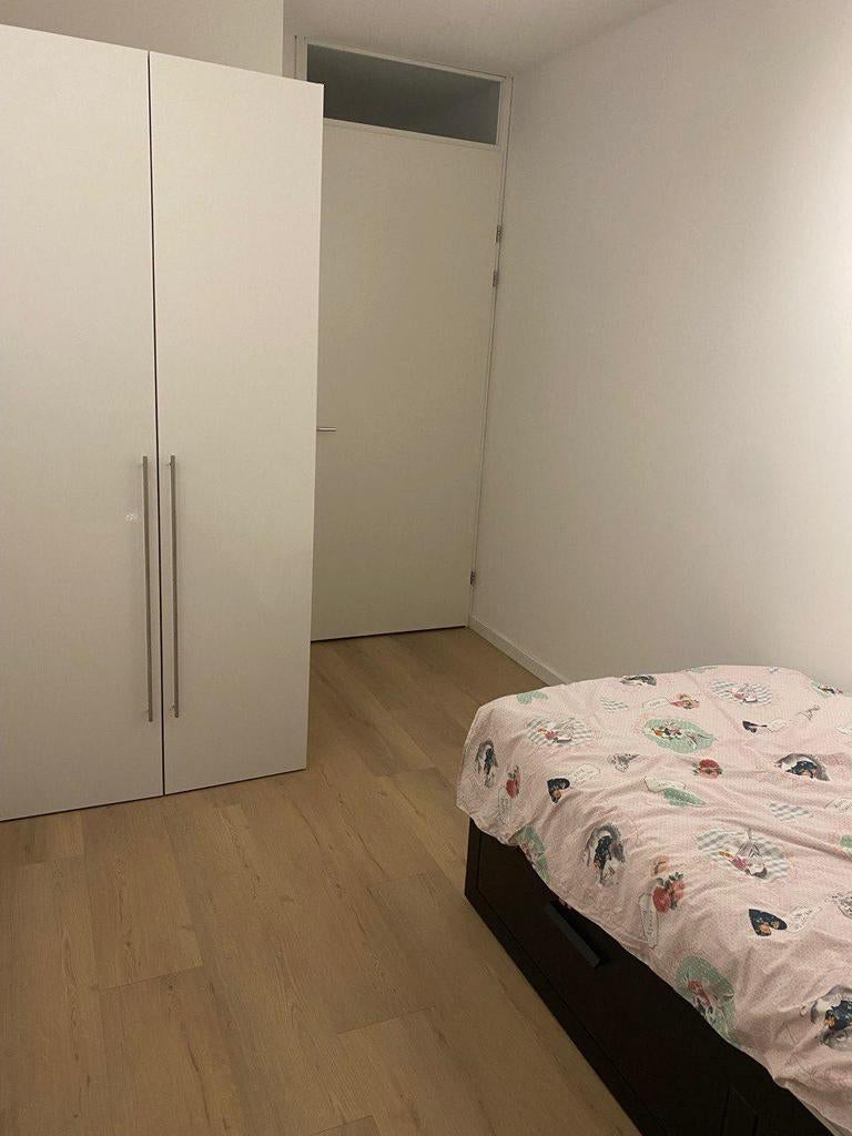 Kamer te huur Eindhoven, Huizen en Kamers, Kamers te huur, Eindhoven