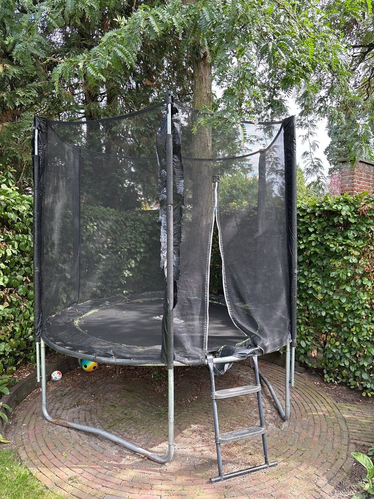 Salta Trampoline - Opknapper (1 veer mist), Kinderen en Baby's, Speelgoed | Buiten | Trampolines, Ophalen, Gebruikt