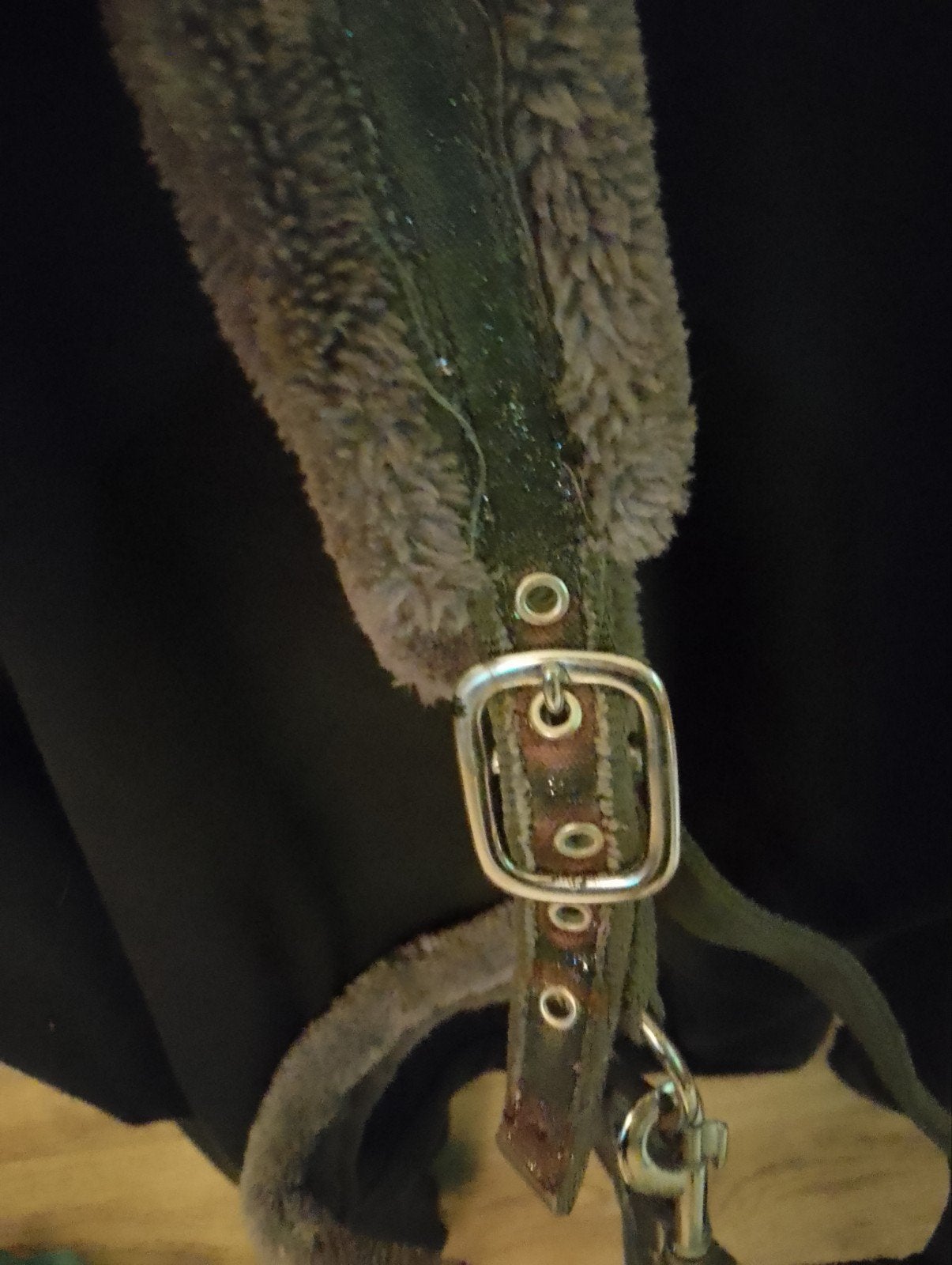 halsters aleen gepast, Dieren en Toebehoren, Ophalen, Nieuw