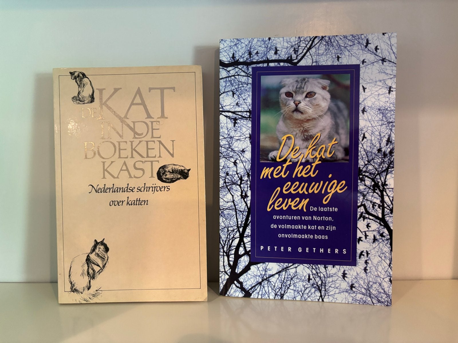 2 kattenboeken: De Kat in de Boekenkast & De kat met het eeu, Boeken, Ophalen of Verzenden, Gelezen, Nederland