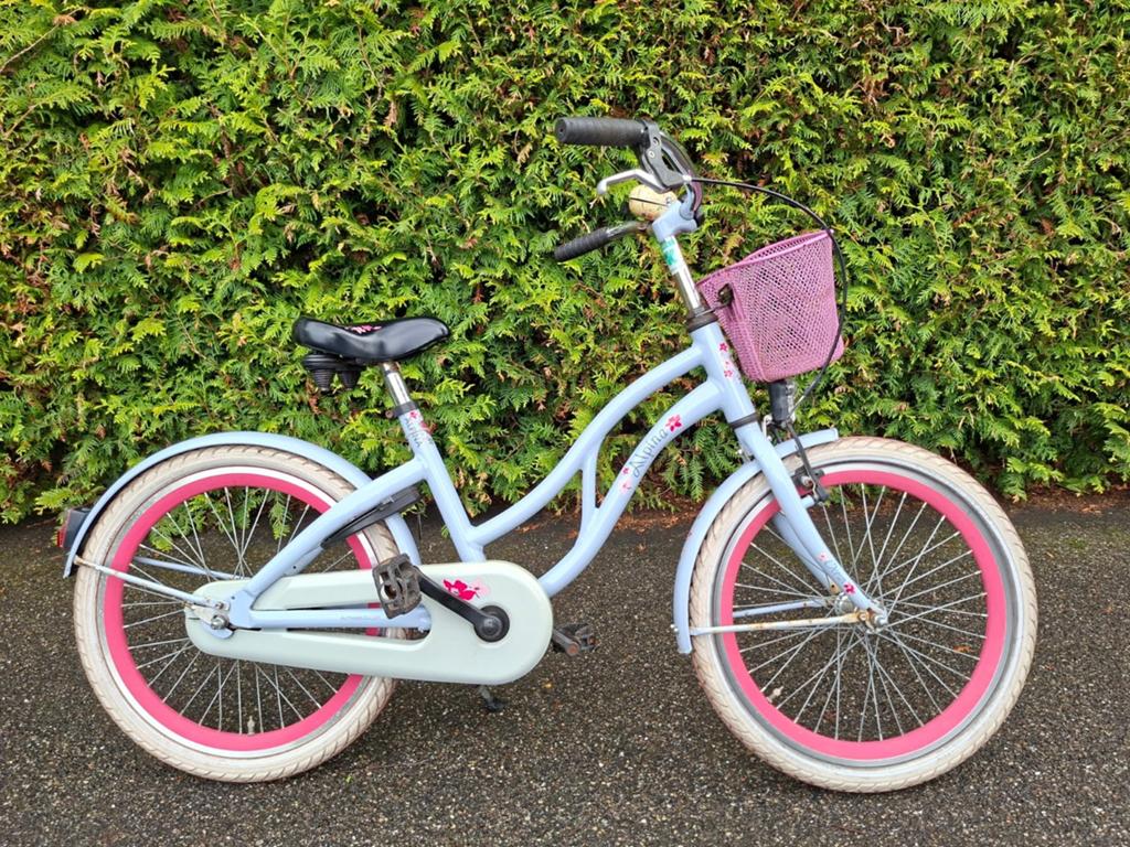 Alpina meisjesfiets 20 inch, Ophalen of Verzenden, Gebruikt, 20 inch of meer