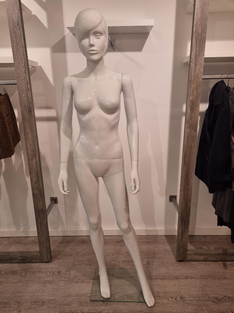 Dames paspop, Kleding | Dames, Ophalen, Gedragen