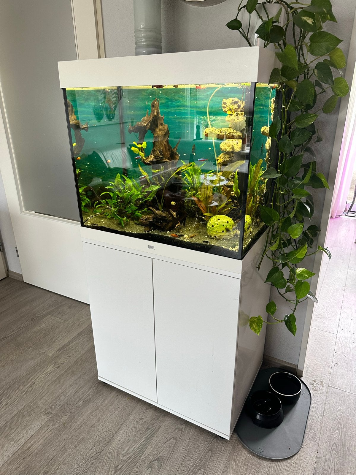 Juwel Lido 200 Compleet, Dieren en Toebehoren, Vissen | Aquaria en Toebehoren, Ophalen