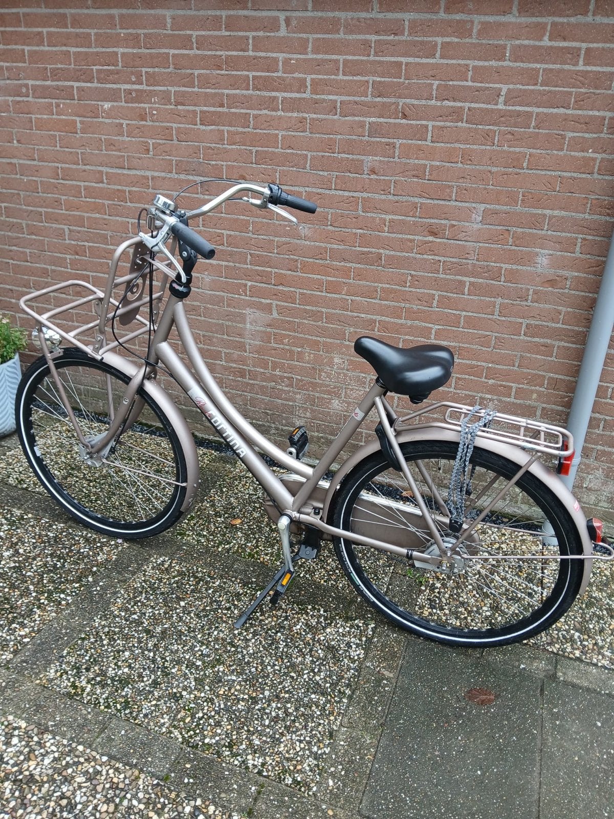 Cortina Damesfiets, Overige merken, Terugtraprem, (Extra) lage instap, Ophalen of Verzenden