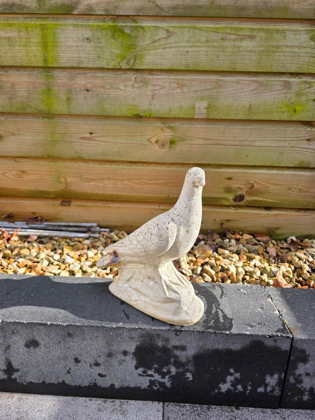 Tuinbeeld Duif - Beton, Tuin en Terras, Tuinbeelden, Ophalen of Verzenden, Gebruikt, Beton, Dierenbeeld