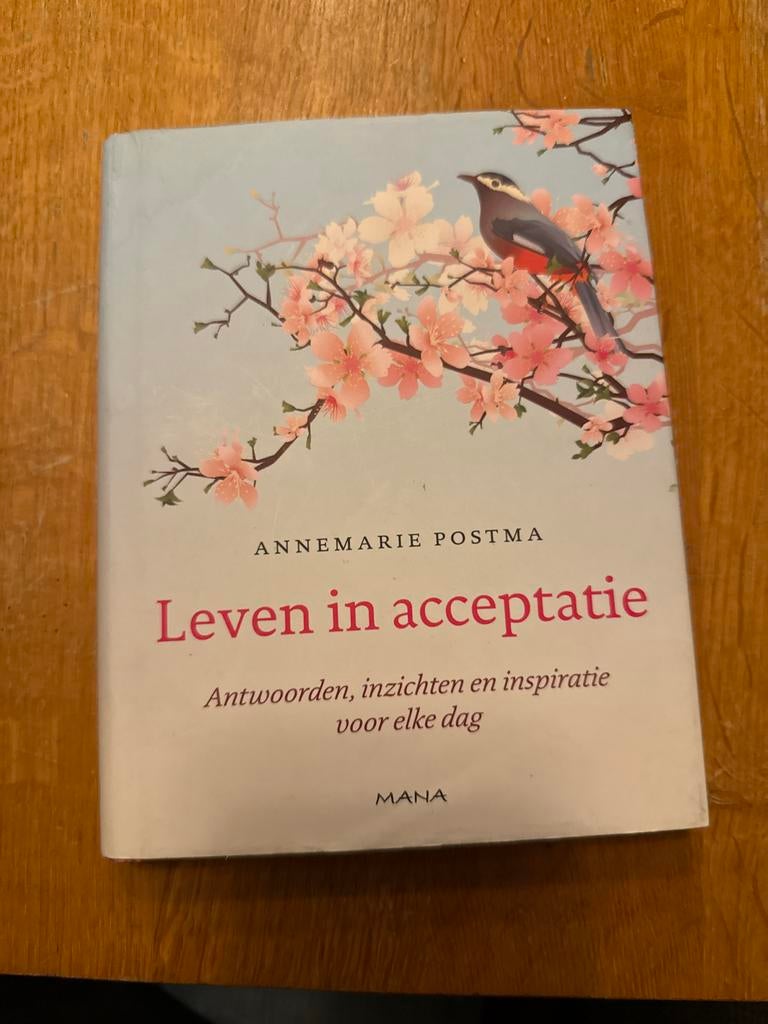 Leven in Acceptatie - Annemarie Postma (Spiritualiteit), Ophalen of Verzenden, Gelezen, Spiritualiteit algemeen, Achtergrond en Informatie