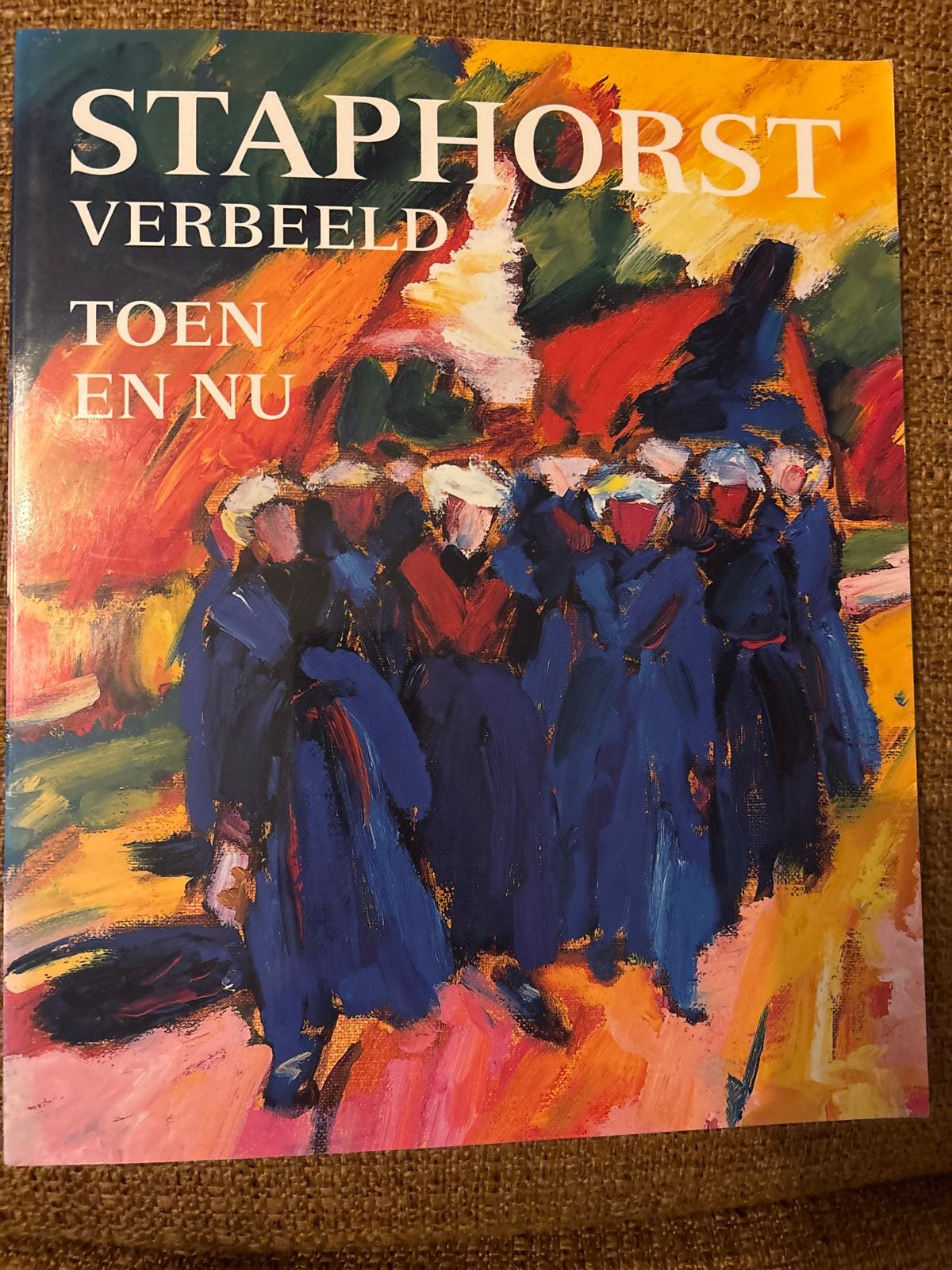 Staphorst Verbeeld: Toen en Nu - Kunstboek, Boeken, Ophalen of Verzenden, Zo goed als nieuw, Overige onderwerpen