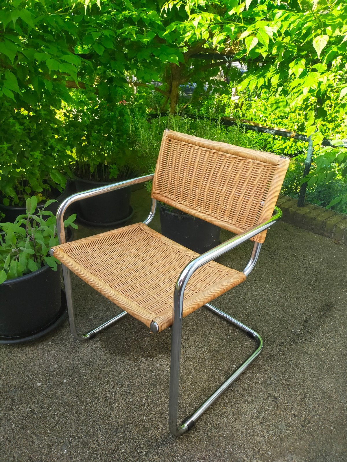 Beuer Stoel Chroom Rotan Tecta Thonet, Ophalen, Gebruikt, Bauhaus, Bruin
