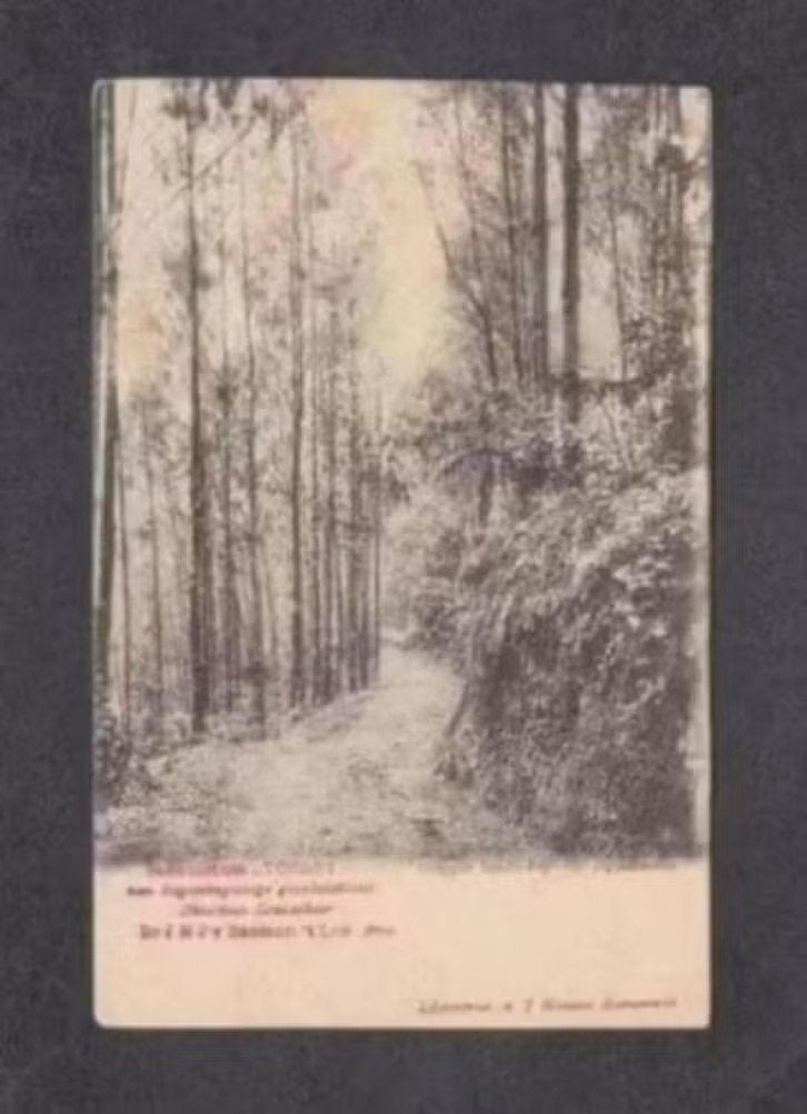 Indië Indonesië Sanatorium Tosari Soerabaja Oost-Java., Ophalen of Verzenden, Voor 1920, Ongelopen, Buiten Europa
