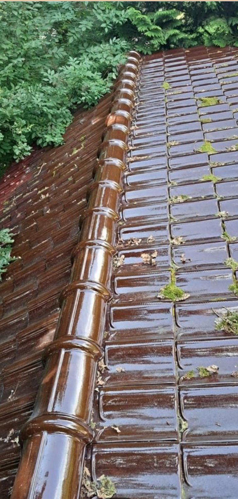 Nokvorsten, geglazuurd, dakpannen, randpannen, Ophalen, Steen of Klei, 15 m² of meer, Dakpannen