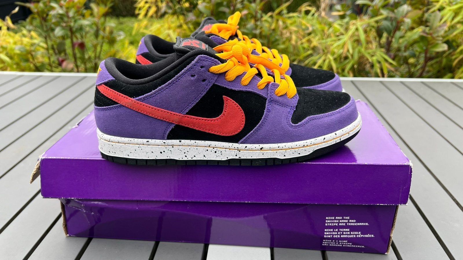 Nike SB Dunk Low ACG Terra, Overige kleuren, Nieuw, Ophalen of Verzenden, Sneakers of Gympen